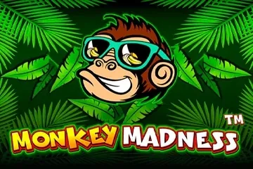 Monkey Madness slot